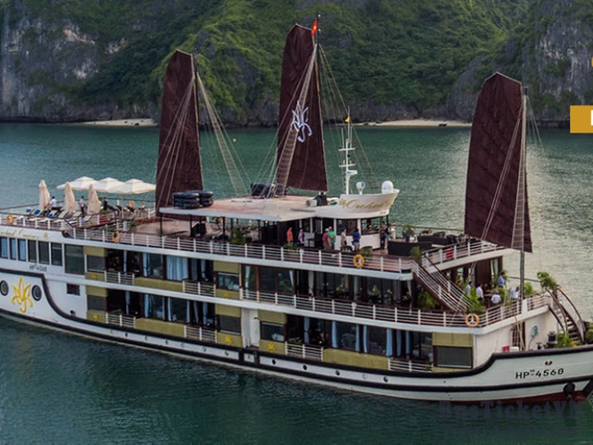 Orchid Cruise