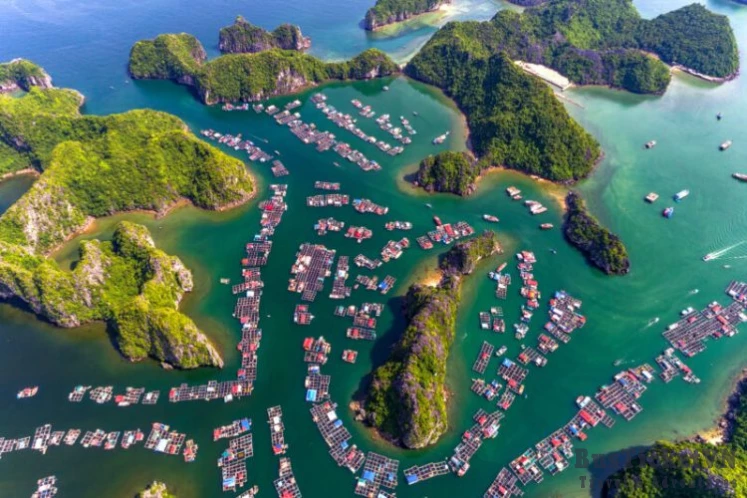 Lan Ha Bay - Halong Bay 1 Day Tour