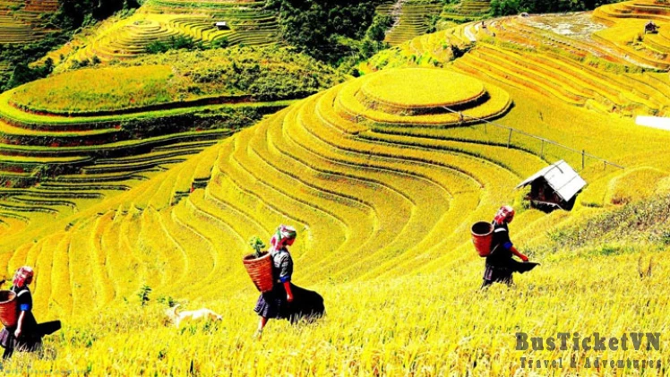 Sapa Trekking 3 Days - Home Stay & Hotel