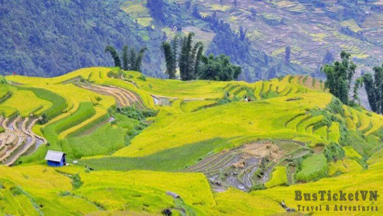 Sapa Trekking 3 Days - Home Stay & Hotel - Slide 4