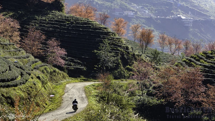 Complete Guide to Sapa: Transportation & Travel Guide