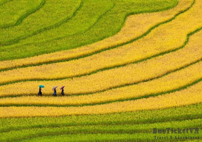 Sapa in Summer: Lush Beauty and Cultural Richness in Vietnam's Highlands