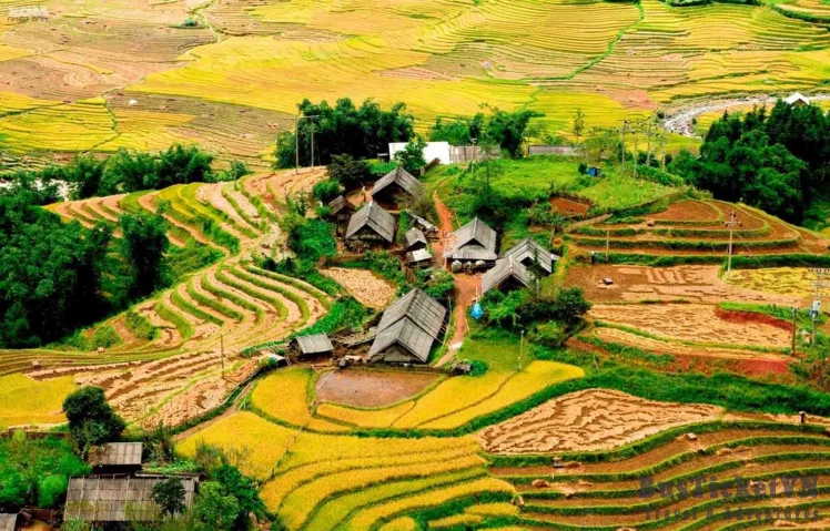 Ta Van: The Cultural Heart of Sapa's Enchanting Valley