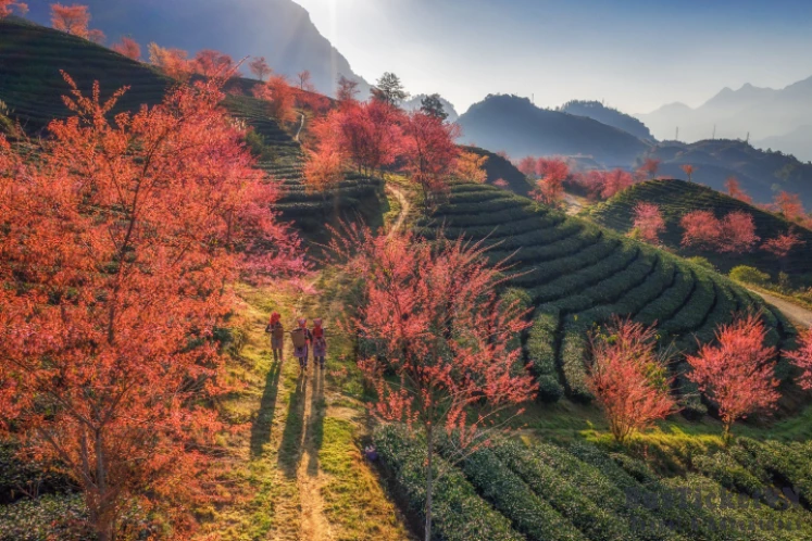 Exploring Sapa in May: A Journey from Hanoi to the Enchanting Highlands