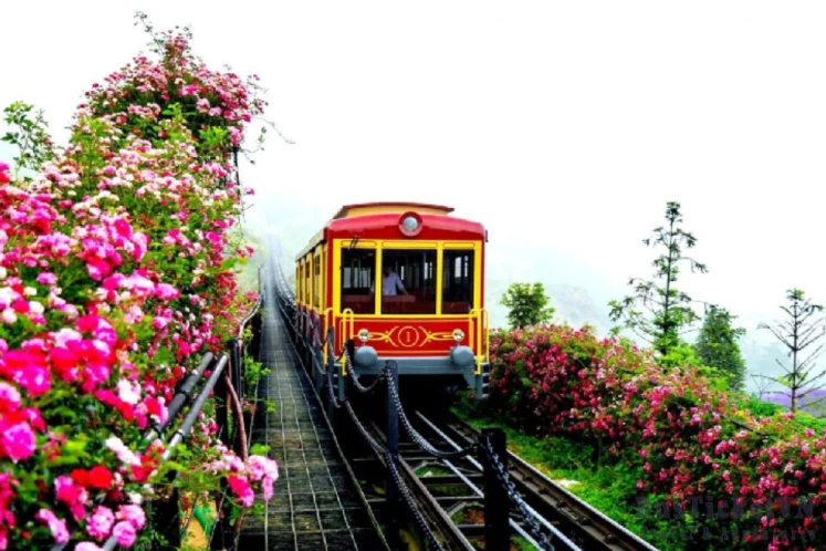 Ultimate 3-Day Hanoi to Sapa Journey: A Traveler's Guide to Vietnam's Mountain Paradise