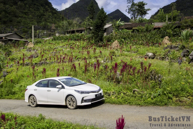 Sapa to Hanoi city / Airport by private car
