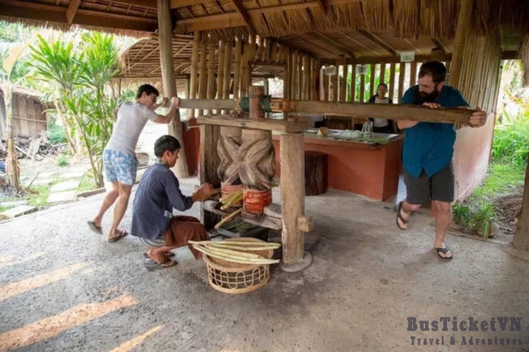 Wet Rice Farm Culture With Lunch/Dinner At Farmer House (Day trip 4.5 hours) - Slide 3