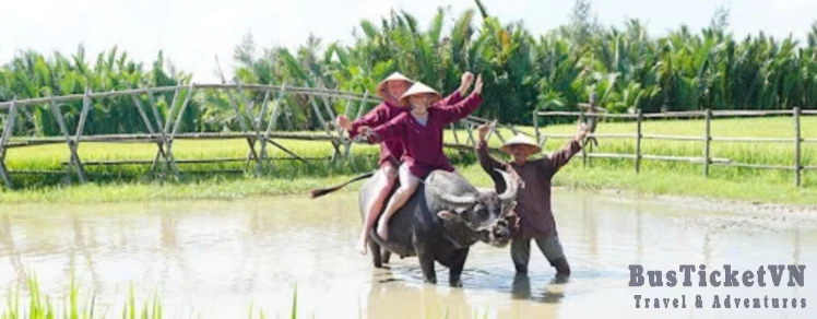 Rowing Basket Boat & Riding Buffalo (Day trip 2.5 hours)