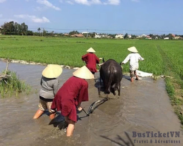 Rowing Basket Boat & Riding Buffalo (Day trip 2.5 hours) - Slide 4