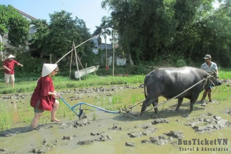 Rowing Basket Boat & Riding Buffalo (Day trip 2.5 hours) - Slide 6