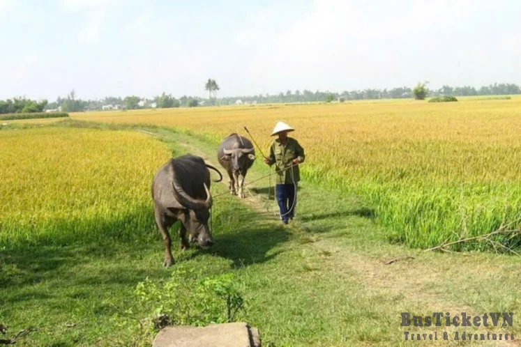 Rice Planting & Fishing (Day trip 6 hours) - Slide 2