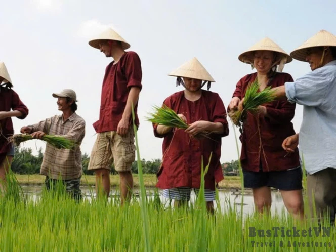 Rice Planting & Fishing (Day trip 6 hours) - Slide 6
