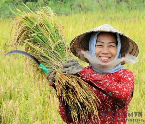 Rice Planting & Fishing (Day trip 6 hours) - Slide 7